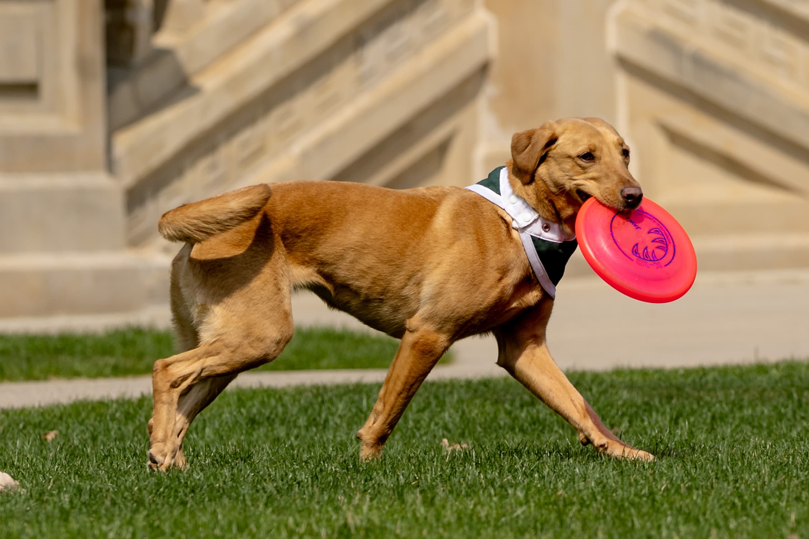 Article banner image